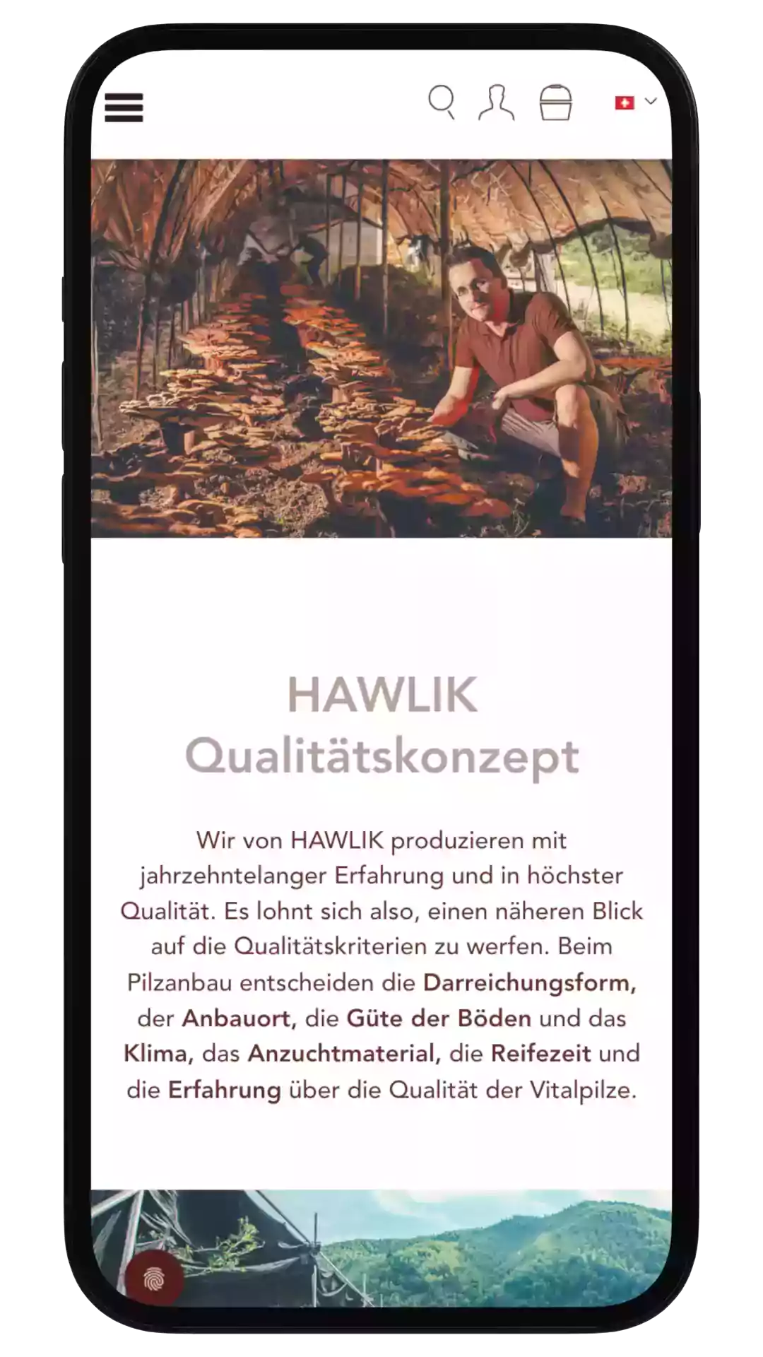 HAW-TwoScreens-2